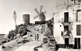 Delcampe - . MALLORCA . PALMA . Molinos Del Jonquet . - Mallorca