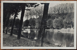 Delcampe - 91 : Orsay - Le Parc - Animée : Petite Animation : Pêcheurs à La Ligne - Plan Inhabituel - Papier Glacé - Pli -(n°31108) - Orsay