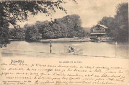 Delcampe - CPA BELGIQUE / BRUXELLES / PALAIS ROYAL / LA GRANDE ILE AU BOIS - Avenues, Boulevards