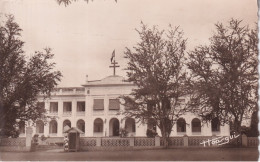 Delcampe - CAMEROUN(YAOUNDE) ARBRE - Kamerun