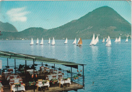 LAGO D'ISEO SULZANO REGATE VELICHE ANNO 1970 VIAGGIATA - Vela