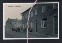 Delcampe - PHOTO BETECOM BEGINENDIJK   REPRO - Begijnendijk