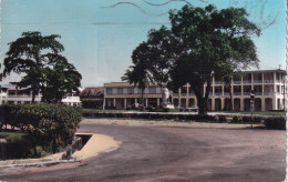 Delcampe - CAMEROUN(DOUALA) ARBRE - Kamerun