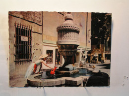 Delcampe - Vence - La Fontaine Du Peyra - Vence