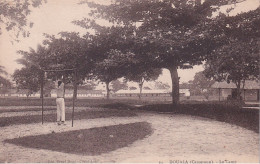 Delcampe - CAMEROUN(DOUALA) LE CAMP(ARBRE) - Kamerun