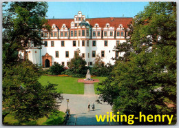 Delcampe - Celle - Schloß - Lüneburger Heide - Celle