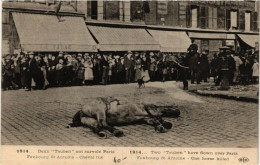 Delcampe - CPA 1914 2 Tubens Ont Survolé PARIS (8e) Cheval Tué (199816) - Paris (08)