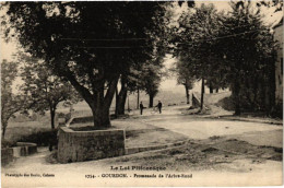 Delcampe - CPA Le Lot Pittoresque - GOURDON - Promenade De L'Arbre-Rond (223768) - Gourdon