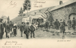 Delcampe - Postkaart/Carte Postale -Trois Ponts - La Foire Au Bétail  (C7351) - Trois-Ponts