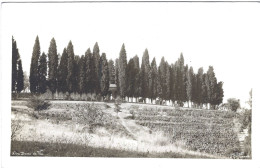 Delcampe - 06 (Alpes Maritimes) - MOUGINS - Notre Dame De Vic - Mougins