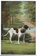 Delcampe - Chasse -  Chien De Chassebraconnage - Jagd