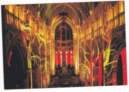 Delcampe - SEES - Spectacles "Musique - Image - Lumière" Cathédrale # 7-11/24 - Sees