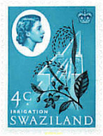 Delcampe - 654220 MNH SWAZILANDIA 1962 MOTIVOS VARIOS - Araignées