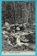 Delcampe - * Spa (Liège - Luik - La Wallonie) * Promenade Meyerbeer, Bois, Cascade, Bos, Vue Générale, Old - Spa