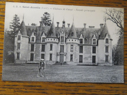 Delcampe - SAINT AVERTIN, INDRE ET LOIRE, CHATEAU DE CANGE, FACADE PRINCIPALE, CPA. LIRE DESCRIPTION POUR PROMO - Saint-Avertin