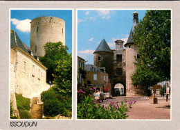 Delcampe - Cpsm -   Issoudun -  Divers Vues        L353 - Issoudun