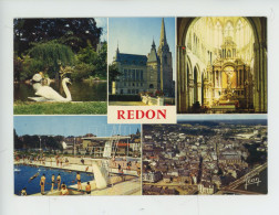 Delcampe - Redon Multivues Jardin Public, Hotel De Ville Tour Gothique, Intérieur église, Piscine, Vue Générale (cp Vierge N° 303) - Redon