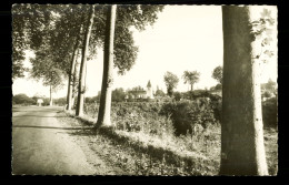 Delcampe - 40 Landes Castets Des Landes Vu De La Route D' Uza   ( Format 9cm X 14cm ) - Castets