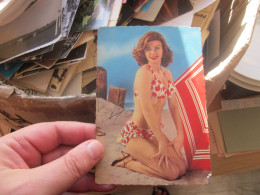 Delcampe - Pin Ups Swimsuit - Pin-Ups