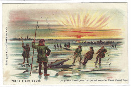 Delcampe - PECHE D' EAU DOUCE - Le Grand Esturgeon Harponné Sous La Glace ( Russie) - Ed. Chocolat LOUIT FRERES & Co - Fischerei