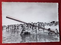 Delcampe - CPSM Grand Format - Frontignan -(Hérault) - Tahiti Camping - La Plage Un Jour De Compétition - Frontignan