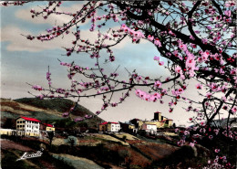 Delcampe - Cpsm -  Biriatou - Le Village         L337 - Biriatou