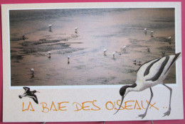 Delcampe - Visuel Très Peu Courant - 22 - Saint Brieuc - Les Oiseaux Dans La Baie - Aigrettes, Huîtrier Pie, Avocette - Saint-Brieuc