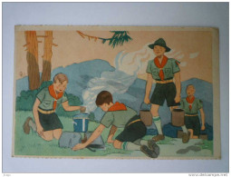 SCOUTISME  :  SCOUTS  Préparant Le Repas  -  Carte Couleur - Scouting