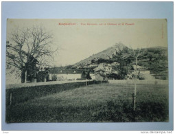 ROQUEFORT  (Landes)  :  Vue Générale Sur Le Château Et Le Pouech - Roquefort