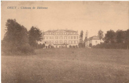 OHEY. CHATEAU DE BETHUME. - Ohey