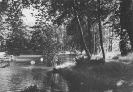 60 GUISCARD L ETANG DE LA FONDATION DE BERNY - Guiscard