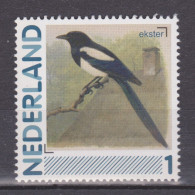 Nederland Netherlands Pays Bas Holanda Niederlande MNH Ekster Magpie Urraca Pie Ave Bird Oiseau Vogel - Cuckoos & Turacos