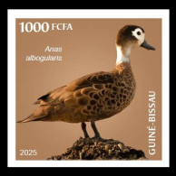 GUINEA BISSAU 2025 STAMP 1V IMPERF - BIRDS OF INDIA - DUCK DUCKS - MNH - Canards