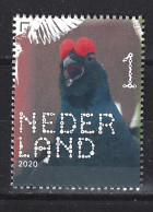 Nederland Netherlands Pays Bas Holanda Niederlande 3872 MNH Hoen Poule Fowl Gallina Korhoen Black Grouse Vogel Bird Ave - Gallinaceans & Pheasants