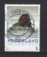 Nederland Netherlands Pays Bas Holanda Niederlande Used Brilduiker Eend Duck Canard Pato Anade Ave Vogel Bird Oiseau - Canards