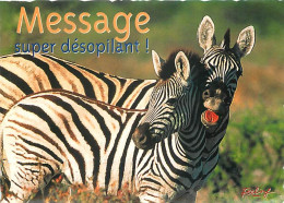 Animaux - Zèbres - Carte à Message Ou Humoristique - CPM - Carte Neuve - Voir Scans Recto-Verso - Zèbres