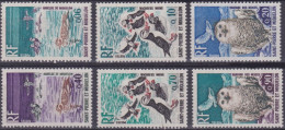 SAINT PIERRE ET MIQUELON - 425/430  OISEAUX COMPLETE NEUF** SANS CHARNIERE COTE 37 EUR - Nuevos