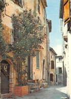 06-MOUGINS-N°T2684-A/0065 - Mougins