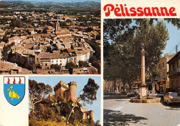 13-PELISSANNE-N°T2688-D/0013 - Pelissanne