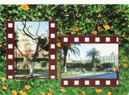 ALGERIE TLEMCEN SOUVENIR D ORAN - Tlemcen