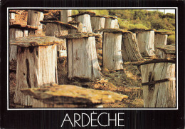 78 BOIS D ARCY LA MONT JOIE - Bois D'Arcy