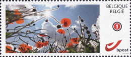 DUOSTAMP/MYSTAMP** - Coquelicot - Coquelicots / Klaproos - Klaprozen. / Mohn - Mohnblumen / Poppy - Poppies - Nuovi