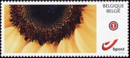 DUOSTAMP/MYSTAMP** - Tournesol / Zonnebloem / Sonnenblume / Sunflower - Nuovi
