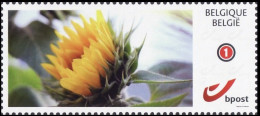 DUOSTAMP/MYSTAMP** - Tournesol / Zonnebloem / Sonnenblume / Sunflower - Nuovi