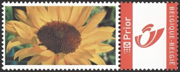DUOSTAMP** / MYSTAMP** - Tournesol / Zonnebloem / Sonnenblume / Sunflower  - Hallmark - Nuovi
