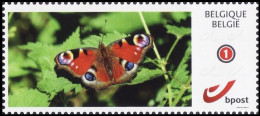 DUOSTAMP/MYSTAMP** - Papillon / Vlinder / Schmetterling / Butterfly - (Le Hibou) (Caligo Eurilochus) - Nuovi