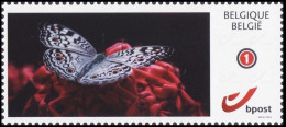 DUOSTAMP/MYSTAMP** - Papillon / Vlinder / Schmetterling / Butterfly - (Le Hibou) (Caligo Eurilochus) - Nuovi