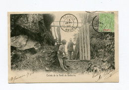 !!! CPA DE LA REUNION DE 1906 : ST ANDRE, ENTREE DE LA FORET DE BELOUVRE - Réunion