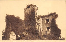 Dourbes – Ruines Du Château Des Hautes-Roches - Viroinval