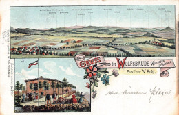 L114 Poland 1907 Gruss Aus Der Wolfsbaude Wolfsberg Goldberg Włodarz Postcard - Wolfsberg